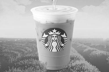 Starbucks’s New Iced Honeycomb Lavender Latte image 3
